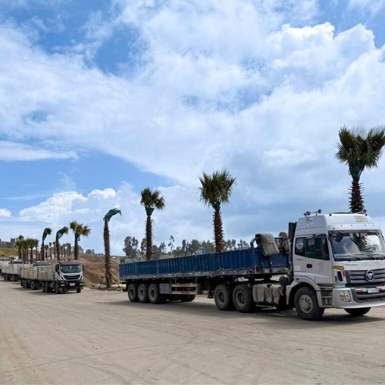 From ETB 2,900 to 1,500: How Lemi National Cement is Transforming Ethiopia’s Cement Market