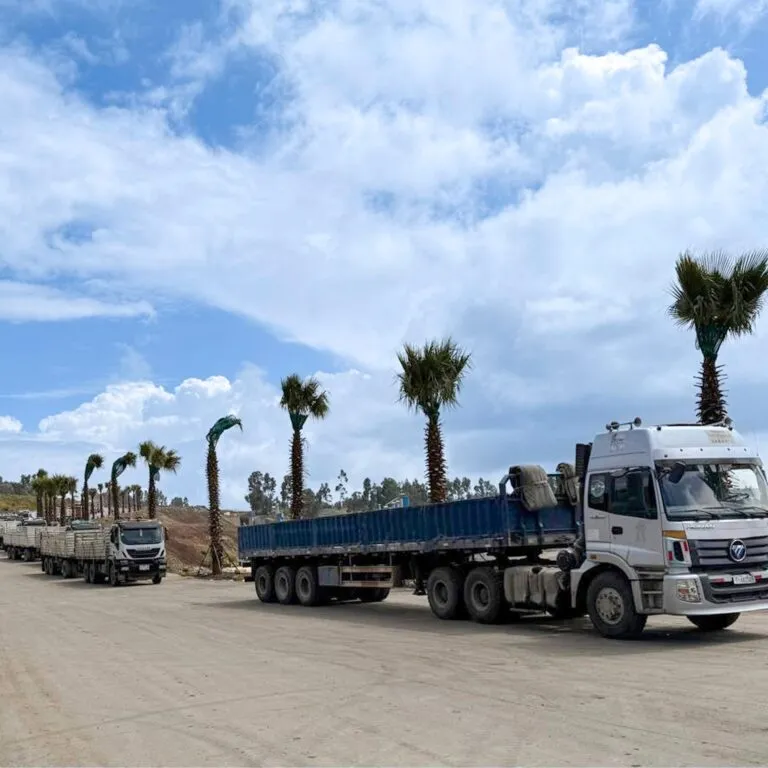 From ETB 2,900 to 1,500: How Lemi National Cement is Transforming Ethiopia’s Cement Market