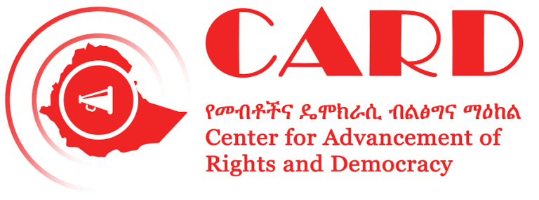 Ethiopia’s Government Bans Two Prominent Human Rights Organizations