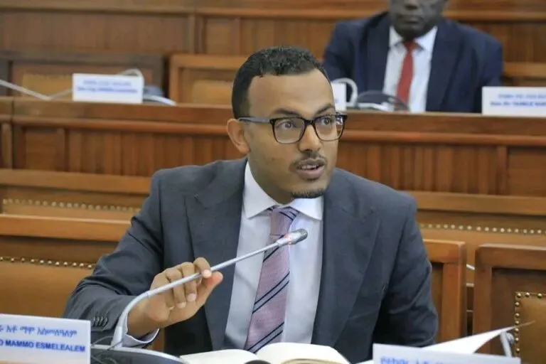 NBE’s Forex Auctions: Is Ethiopia’s Market-Based Exchange Failing?