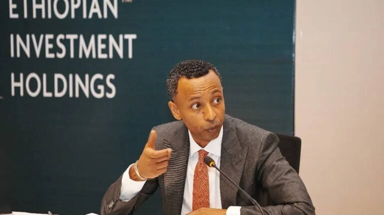 Ethiopia’s Investment Holding Secures First Overseas Stake in $3M Akobo Minerals Investment