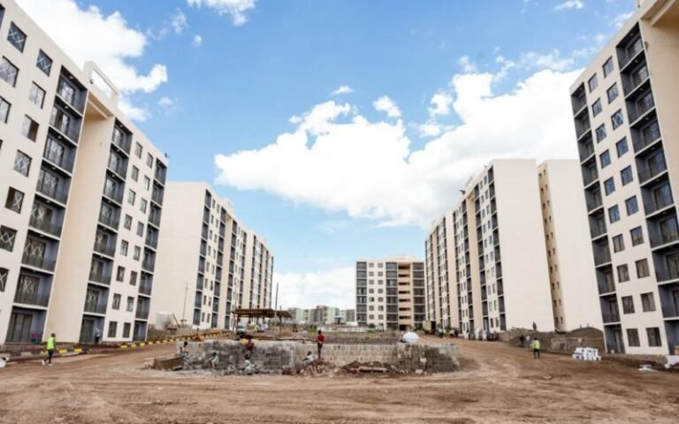 OVID Holding: Aspiring to Become Ethiopia’s Second Vessel Operator Under Ambitious Five-Year Plan