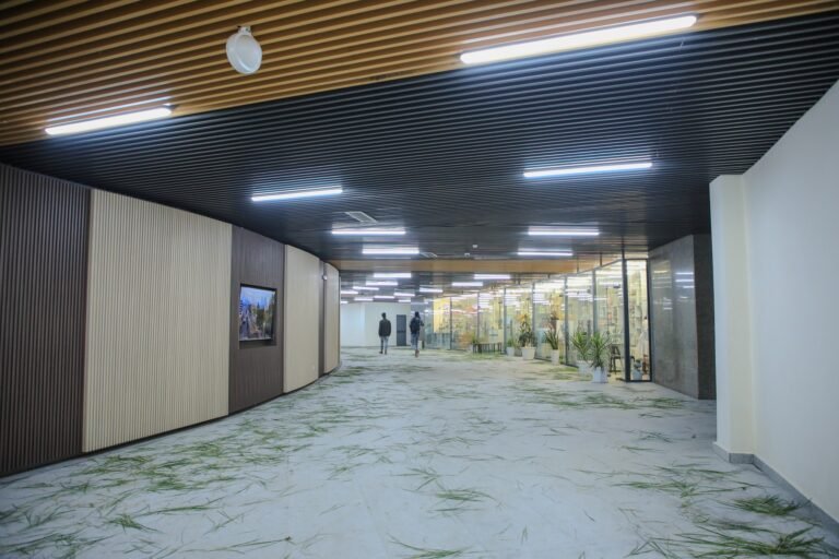 Arat Kilo Plaza Underground Passage and Recreation Area Officially Opens