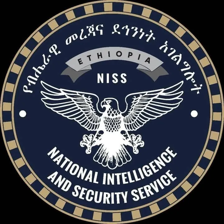 Drones Cannot Be Flown Without Permission in Addis Ababa-NISS