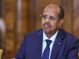 Djibouti’s Mahmoud Ali Youssouf Elected as New African Union Commission Chairperson