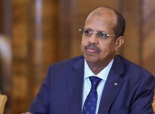 Djibouti’s Mahmoud Ali Youssouf Elected as New African Union Commission Chairperson