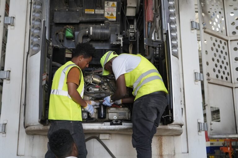 Ethio-Djibouti Railway Line Now Powered by a Dedicated Electrical Supply