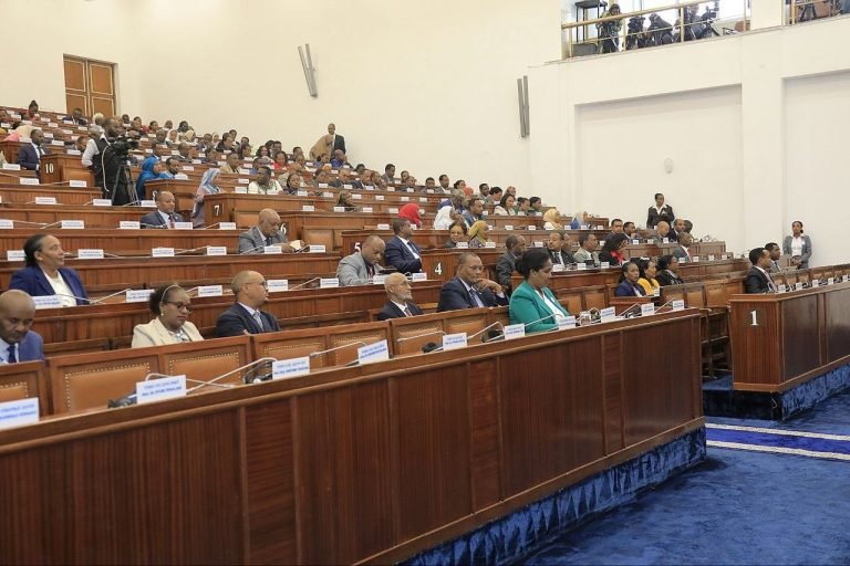 Ethiopian Parliament Approves Major Amendment to Federal Income Tax Law to Align with Digital Economy
