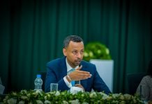 Ethiopian Investment Holdings Drives $250 Million Flagship Hotel Push in Addis Ababa