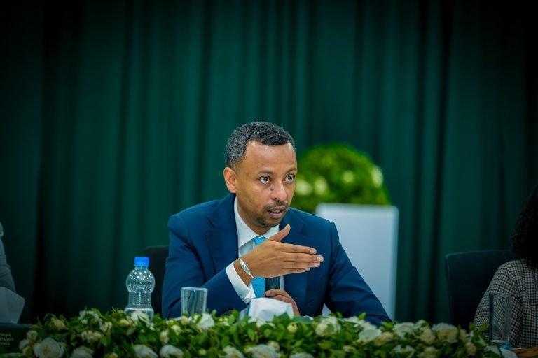 Ethiopian Investment Holdings Drives $250 Million Flagship Hotel Push in Addis Ababa