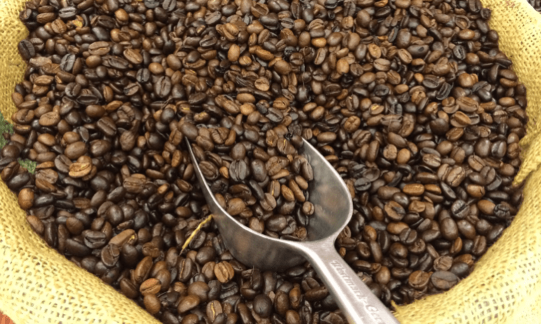 Ethiopian Coffee Hits $1,739 per Kilo in Record-Breaking Auction