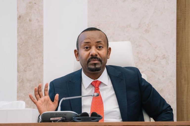 Abiy Ahmed Says Ethiopia Has Not Received External Funding for GERD