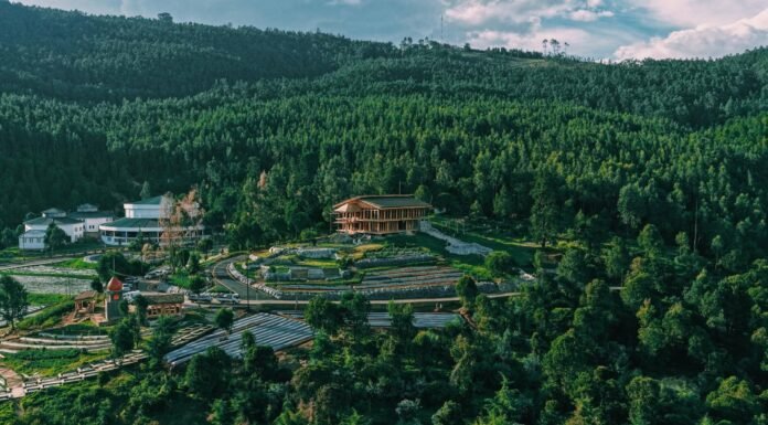 Addis Ababa Unveils Massive Eco-Tourism and Urban Restoration Project at Entoto Kechene