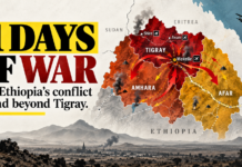 Ethiopia’s New War: The First 11 Days