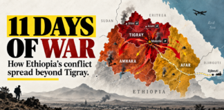 Ethiopia’s New War: The First 11 Days